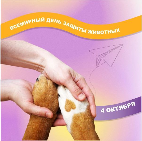 Всемирный день защиты животных.